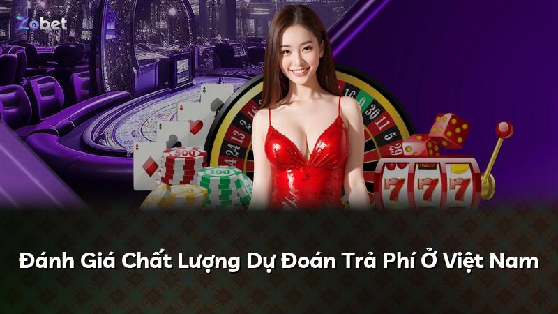 Đánh Giá Chất Lượng Dự Đoán Trả Phí Ở Việt Nam