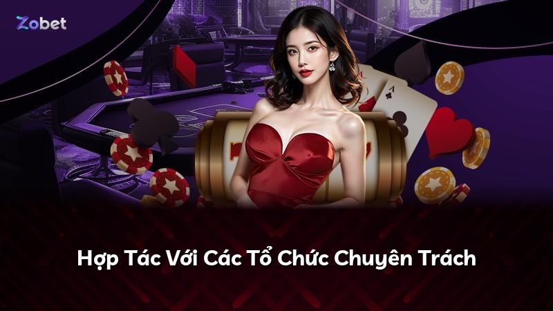 Hợp Tác Với Các Tổ Chức Chuyên Trách