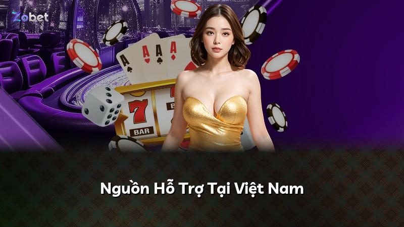 Nguồn Hỗ Trợ Tại Việt Nam