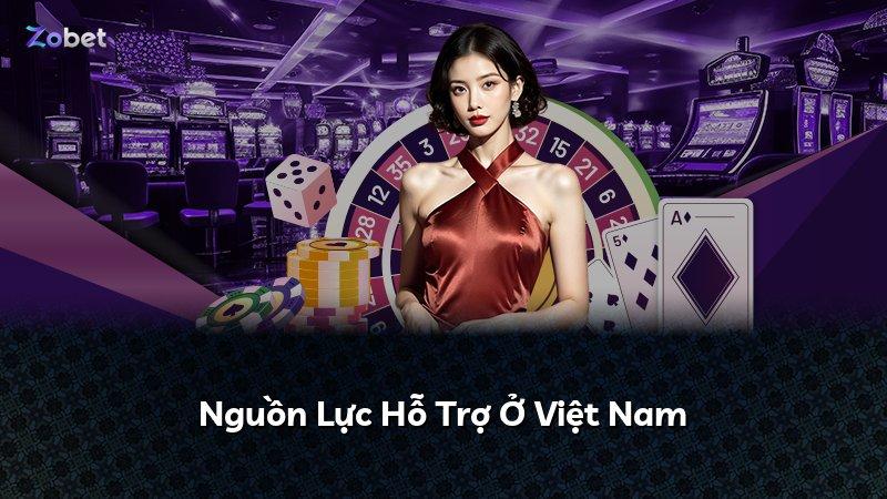 Nguồn Lực Hỗ Trợ Ở Việt Nam