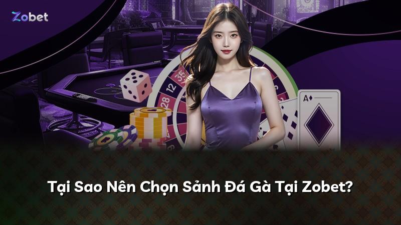 Tại Sao Nên Chọn Sảnh Đá Gà Tại Zobet?